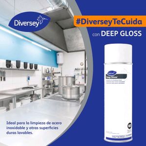 Diversey - Limpiador y Abrillantador de acero inoxidable Deep Gloss