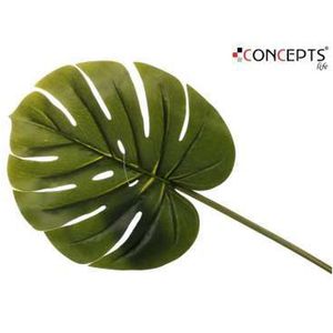 Noritex - Hoja Decorativa 592-142311 | Verde