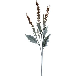 Noritex - Eucalipto Decorativo 456-512840 | Café