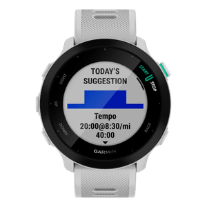 Smartwatch Garmin Forerunner 55